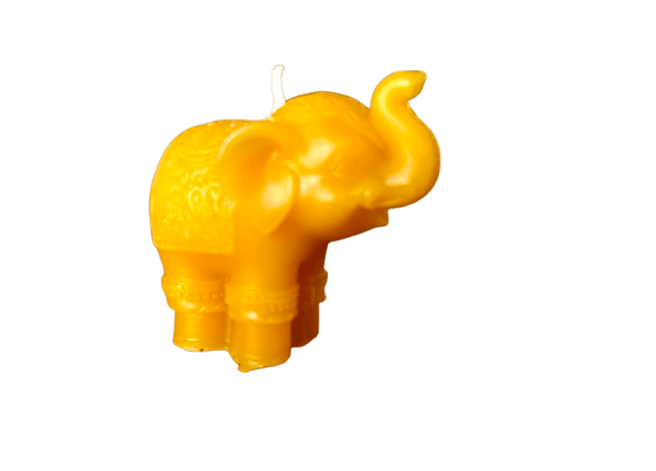 IMG_1170-removebg-preview (1).png