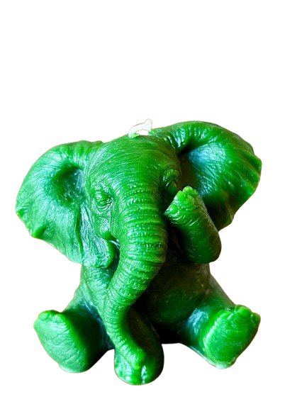 IMG_1479__1_-removebg-preview.png