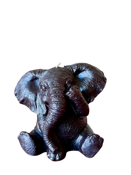 IMG_1480__1_-removebg-preview.png