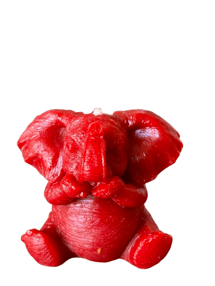 IMG_1484-removebg-preview (1).png