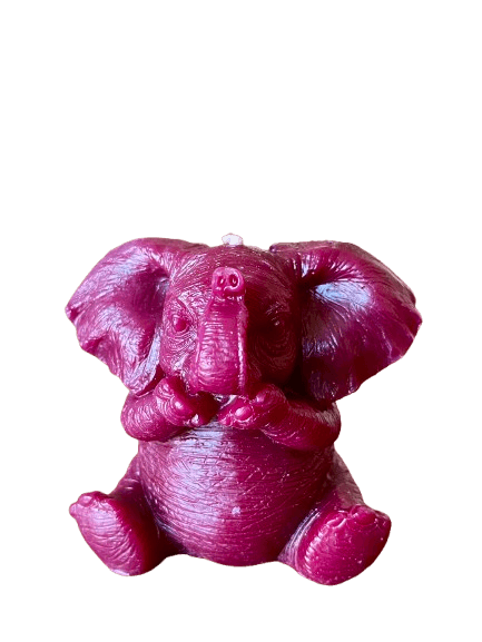IMG_1486-removebg-preview (1).png