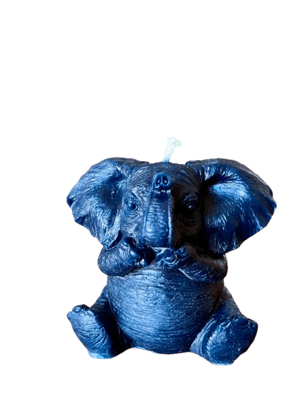 IMG_1487-removebg-preview (1).png