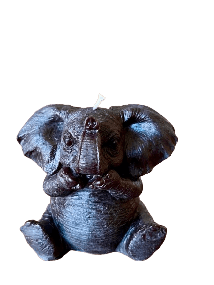 IMG_1485-removebg-preview (1).png