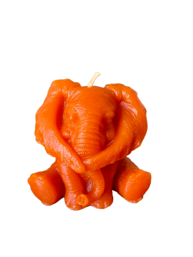 IMG_1489-removebg-preview (1).png