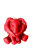 IMG_1494-removebg-preview (1).png