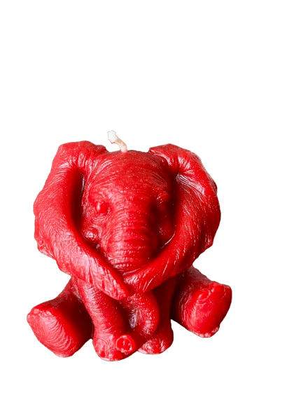 IMG_1494-removebg-preview (1).png