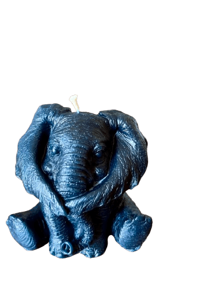 IMG_1492-removebg-preview (1).png