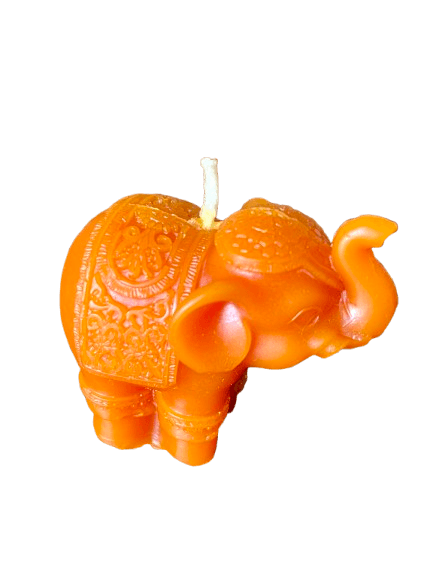 IMG_1498-removebg-preview (1).png