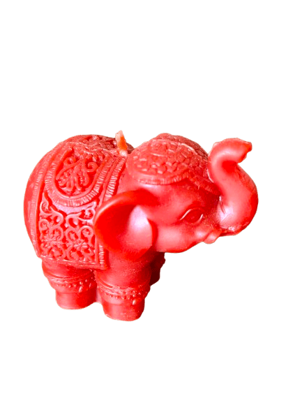 IMG_1497-removebg-preview (1).png