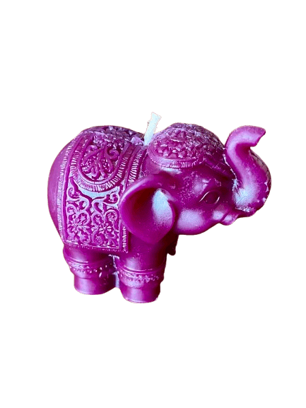 IMG_1496-removebg-preview (1).png