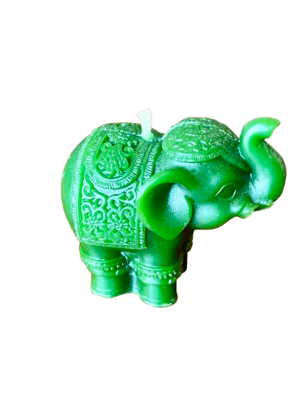 IMG_1500-removebg-preview (1).png