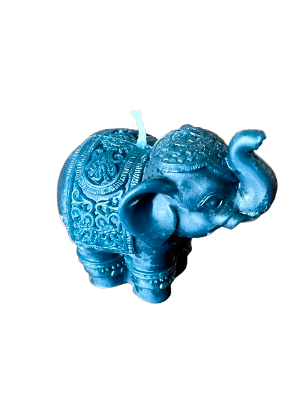 IMG_1499-removebg-preview (1).png