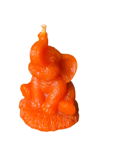 IMG_1508-removebg-preview (1).png