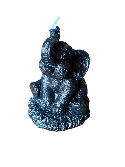 IMG_1507-removebg-preview (1).png