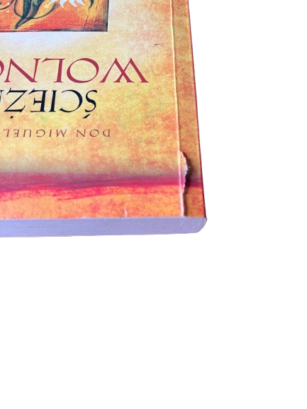 IMG_4288-removebg-preview.png