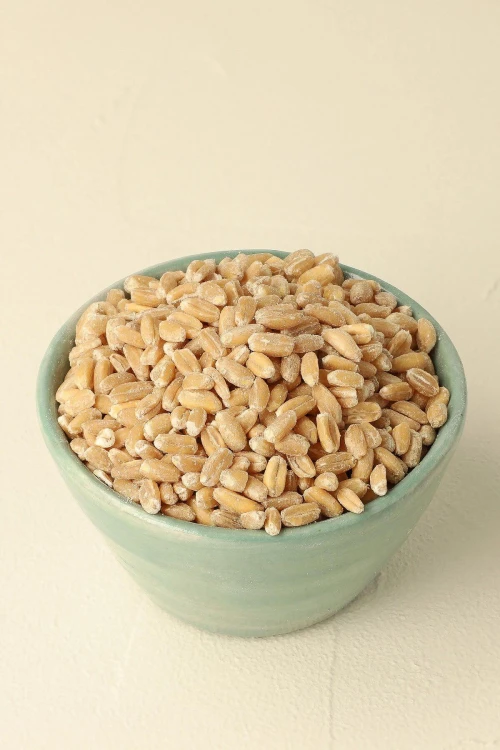 kernotto1.jpg
